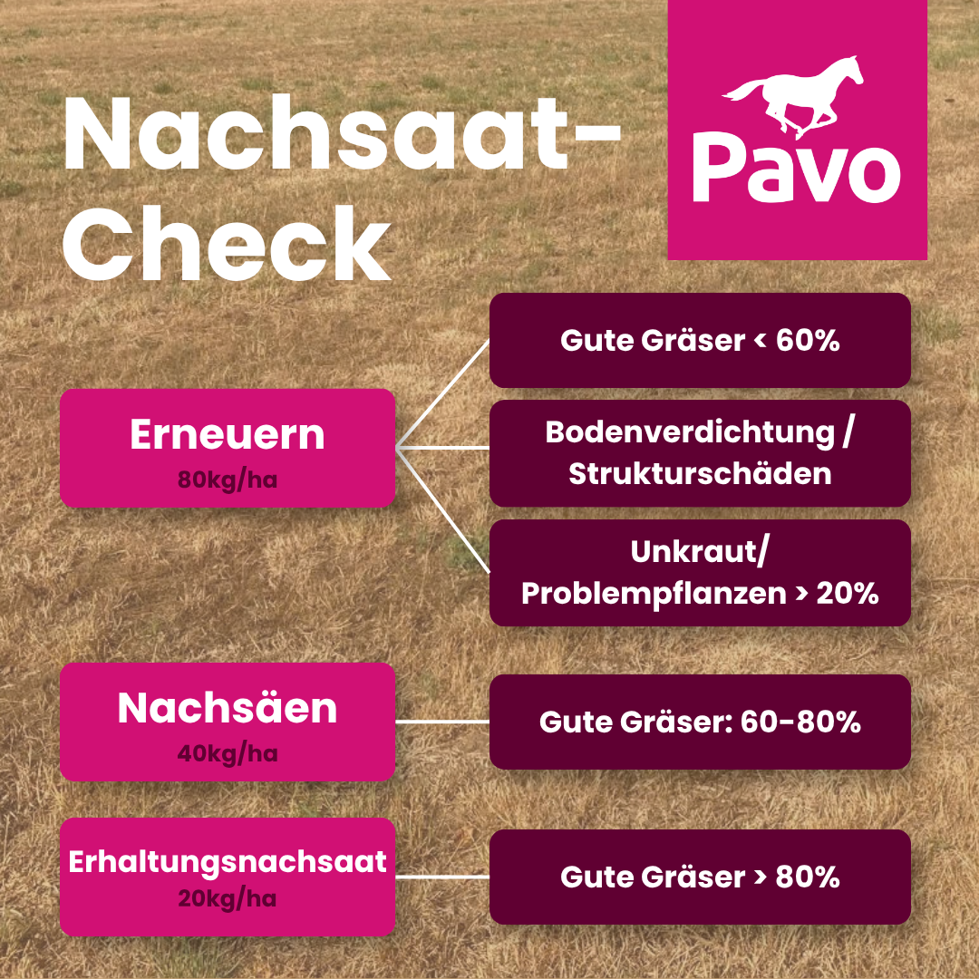 Nachsaat-Check